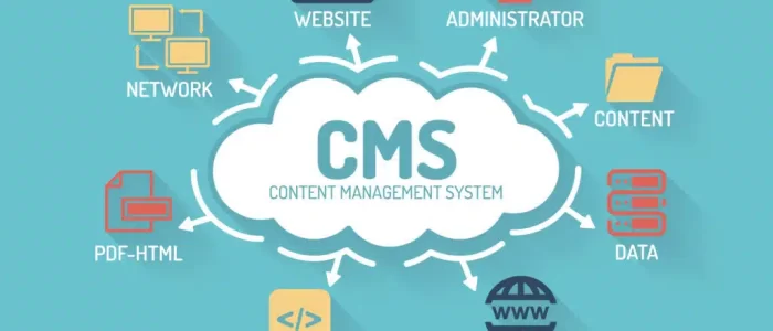 Custom CMS