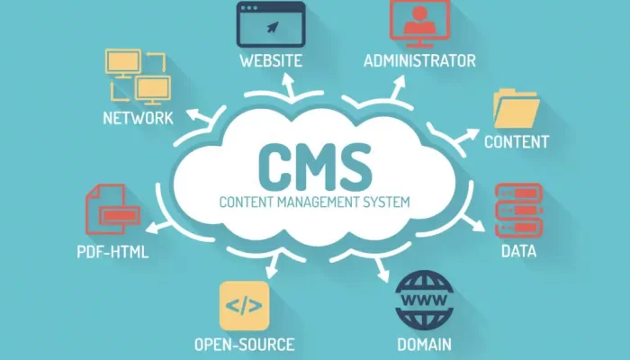 Custom CMS